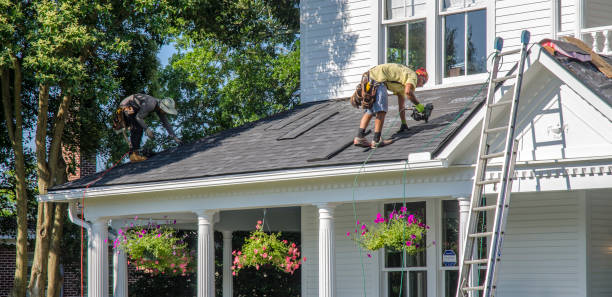 Roof Moss and Algae Removal in Slayton, MN